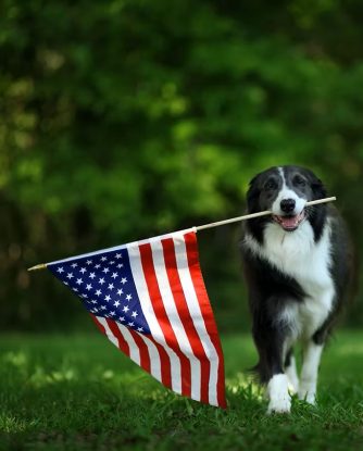 11062b_c6044c62d727465a8fd23a186b6e0deb~mv2